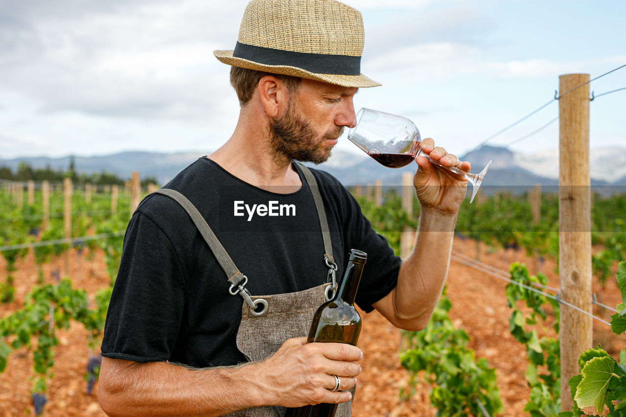 Adult man harvesting ripe grapes from vine on cloudy day on farm serving red wine with bottle in glass and smelling it