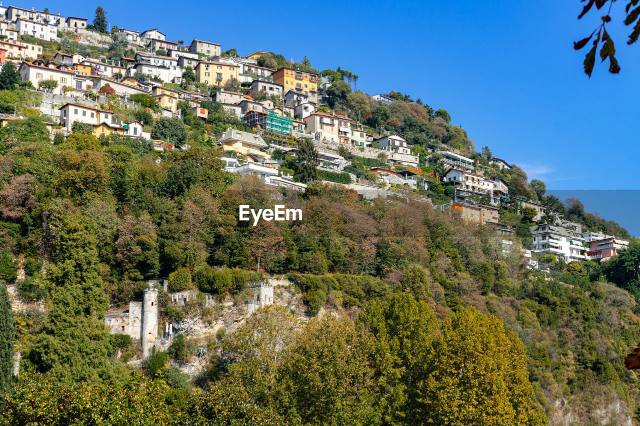 Trees and townscape against sky