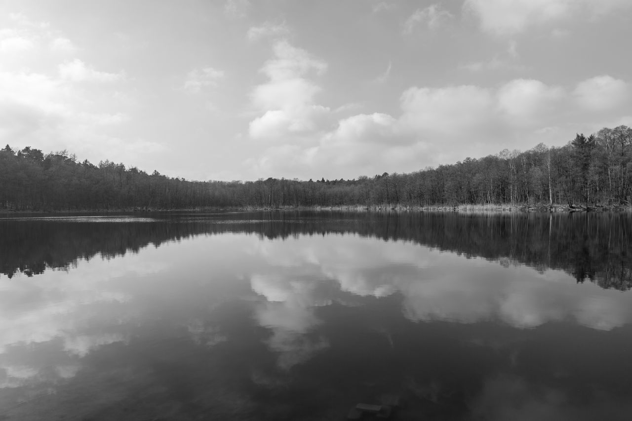 water, reflection, lake, tranquility, tree, scenics - nature, beauty in nature, sky, tranquil scene, cloud, black and white, nature, plant, forest, no people, environment, body of water, monochrome photography, monochrome, fog, landscape, non-urban scene, mist, idyllic, land, outdoors, day, woodland, travel destinations, reservoir, mountain, standing water, morning