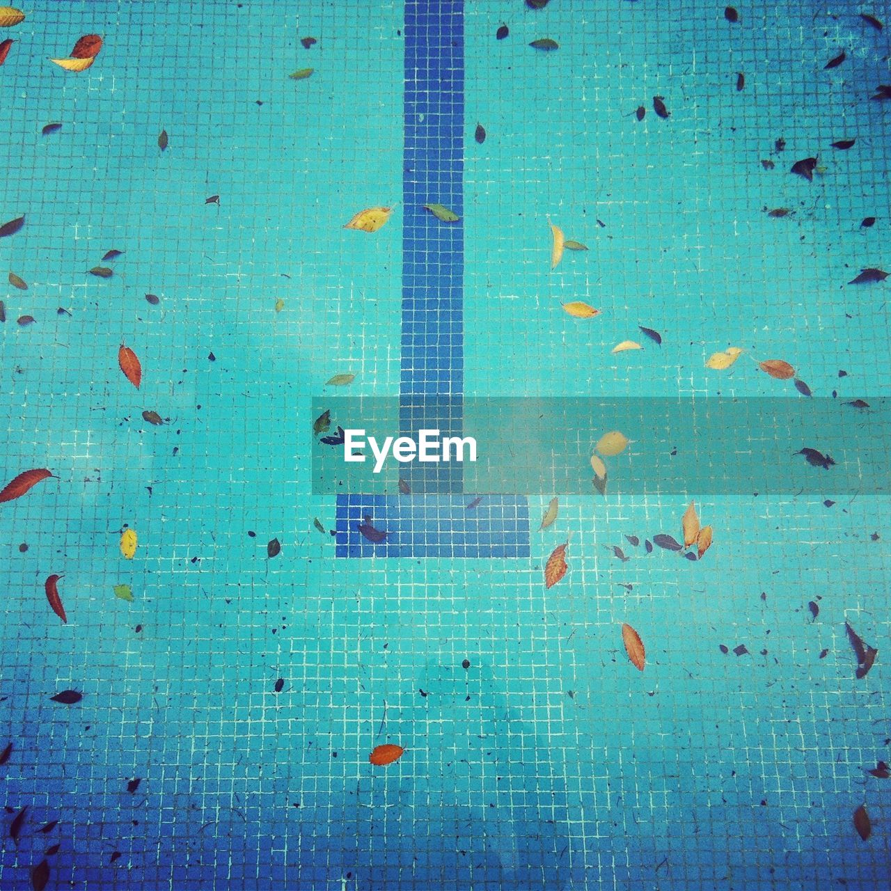 CLOSE-UP VIEW OF SWIMMING POOL