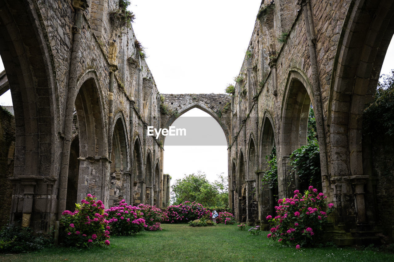 Flowers in abandoned church ruins