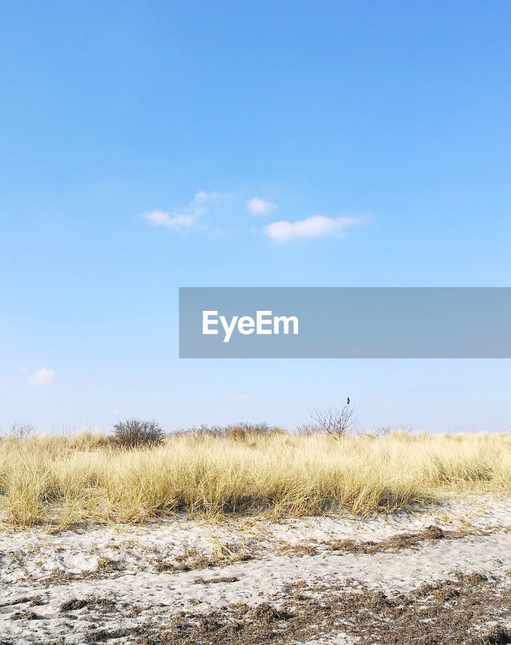 Scenic view of dunes against sky