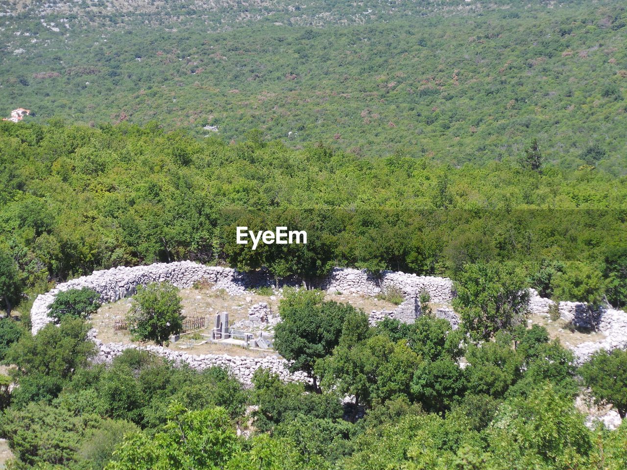 Ruins of the old grave yard in wood