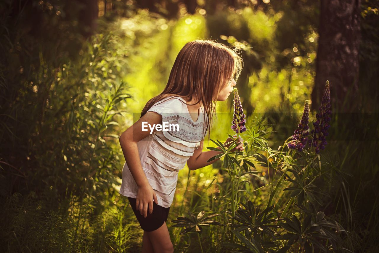 My little girl is smelling flowel in sunny pre-sunset beautiful woods. 