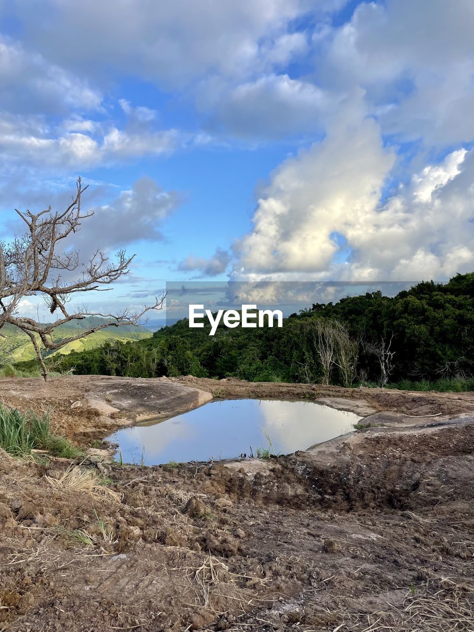 cloud, sky, water, tree, environment, nature, plant, landscape, scenics - nature, no people, land, beauty in nature, sea, tranquility, shore, travel destinations, blue, travel, non-urban scene, reservoir, outdoors, tranquil scene, day, tourism, reflection, coast, mountain, accidents and disasters, forest, wilderness, soil, rural area