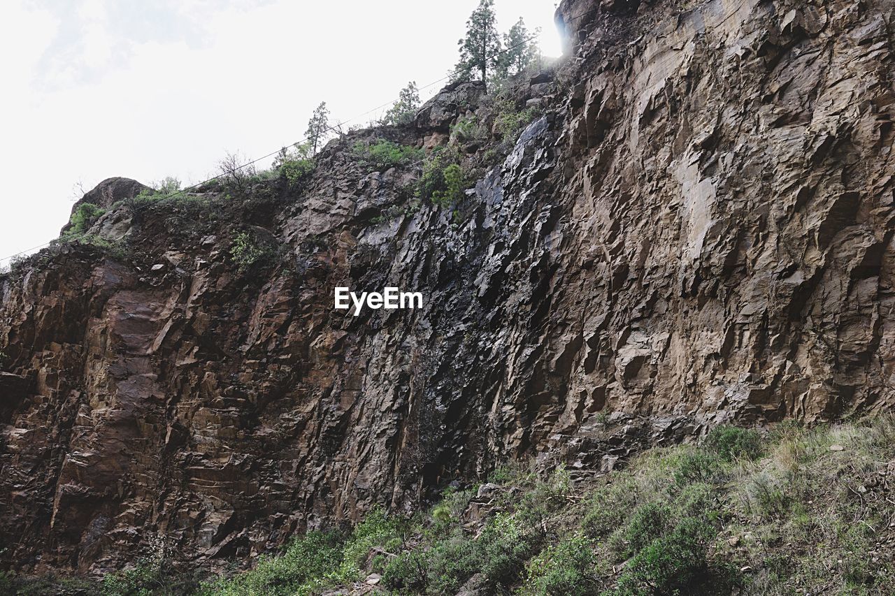 LOW ANGLE VIEW OF TREES ON MOUNTAIN AGAINST SKY