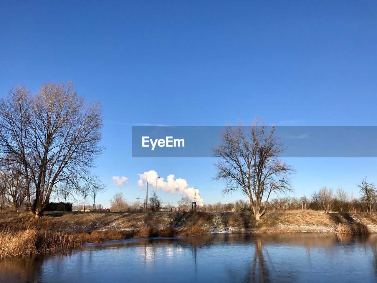 BARE TREES BY LAKE AGAINST SKY