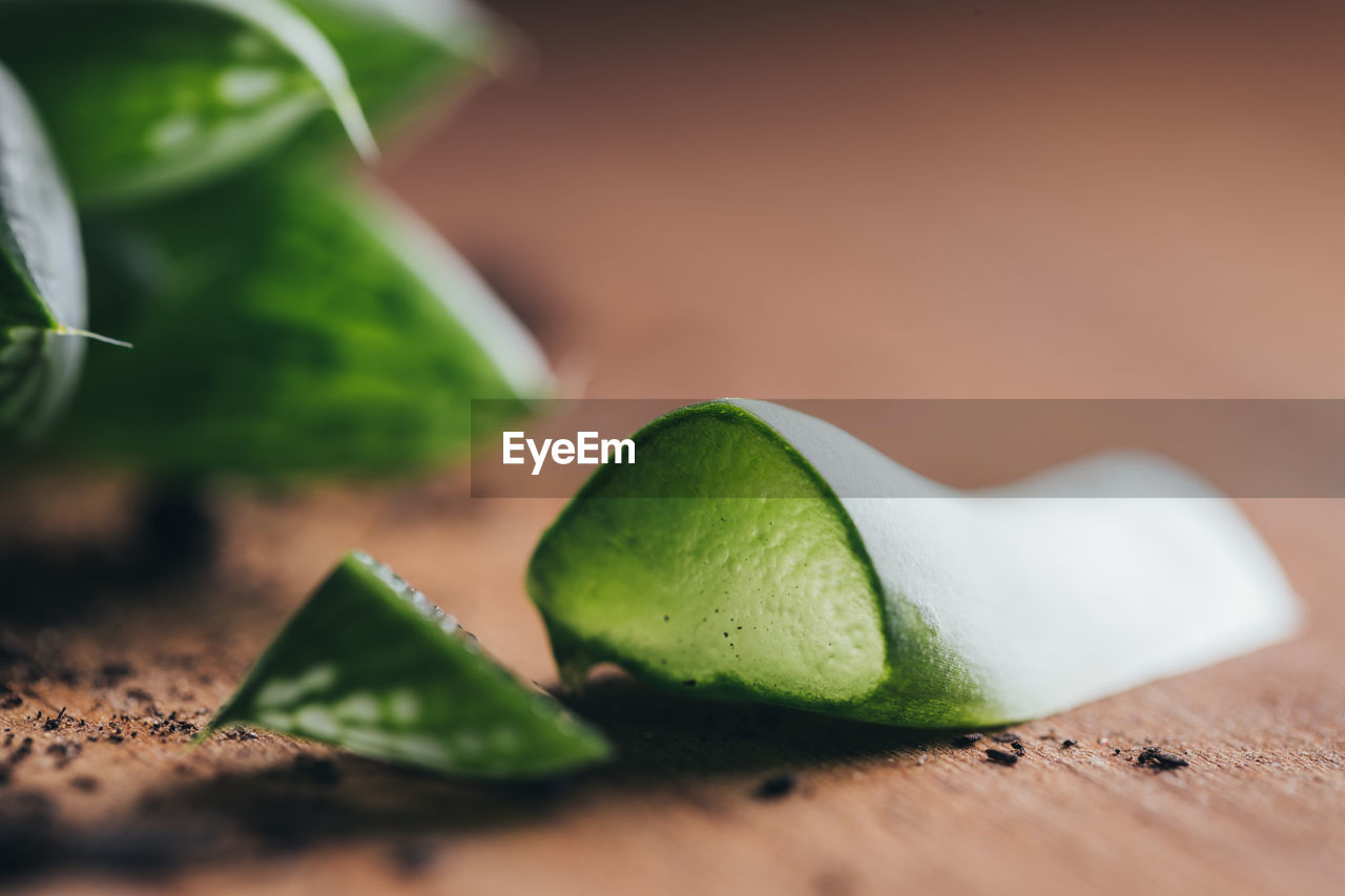 Closeup pieces of green succulent plant with dirt placed on wooden surface in light place