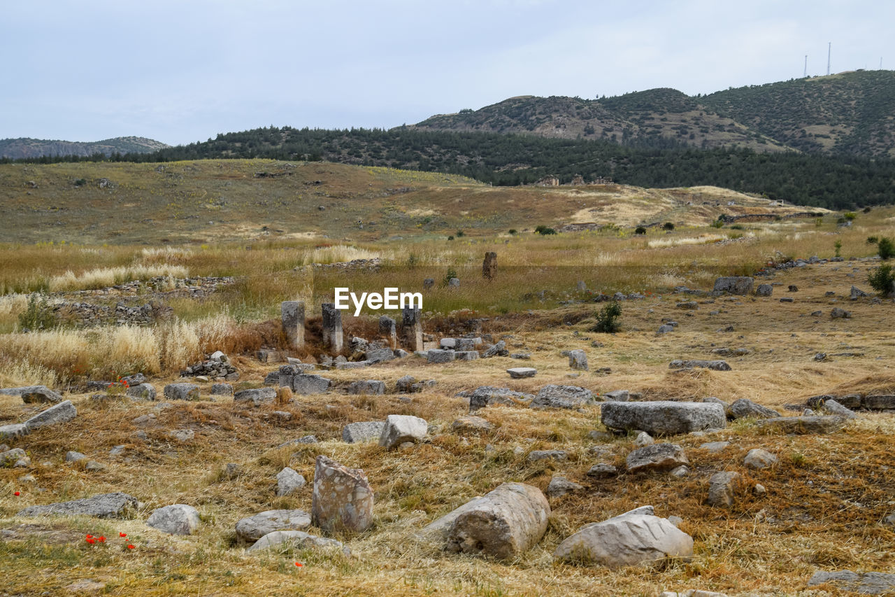 SCENIC VIEW OF ARID LANDSCAPE AGAINST SKY