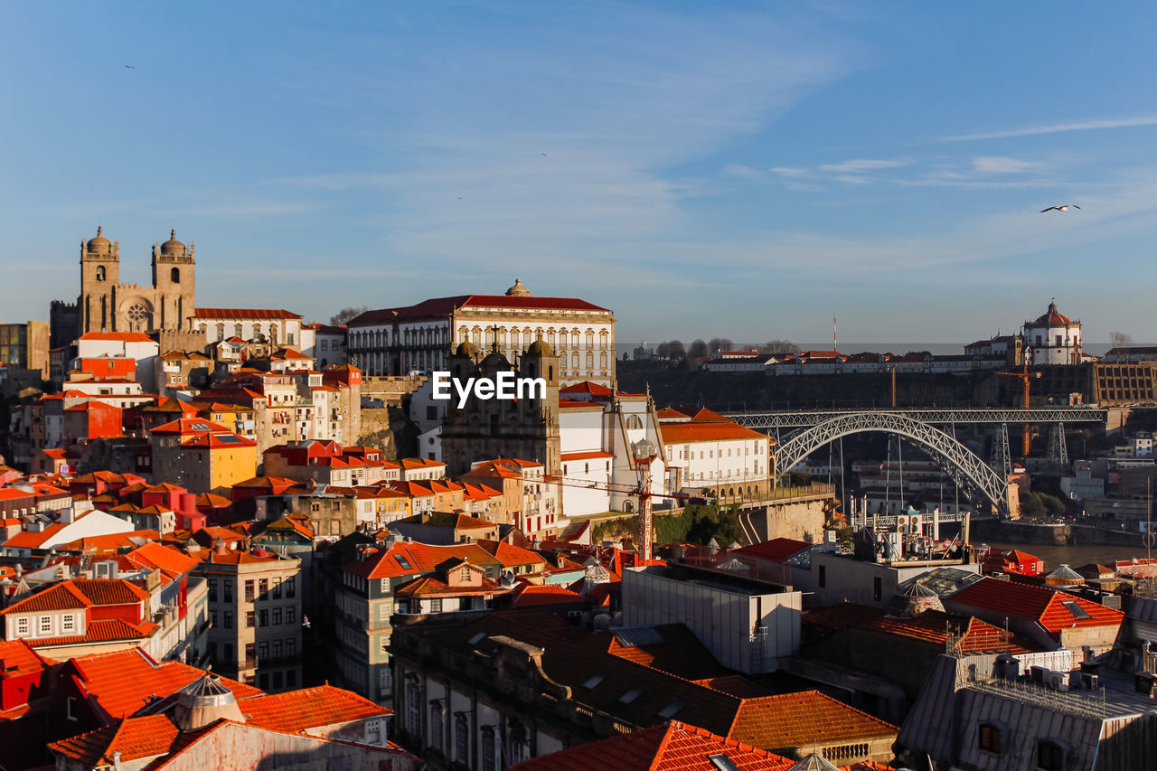 Townscape of oporto with cathedral and bridge view