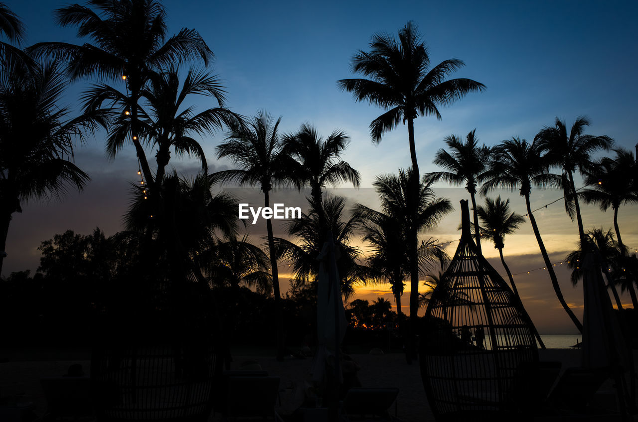 SILHOUETTE PALM TREES BY SWIMMING POOL DURING SUNSET