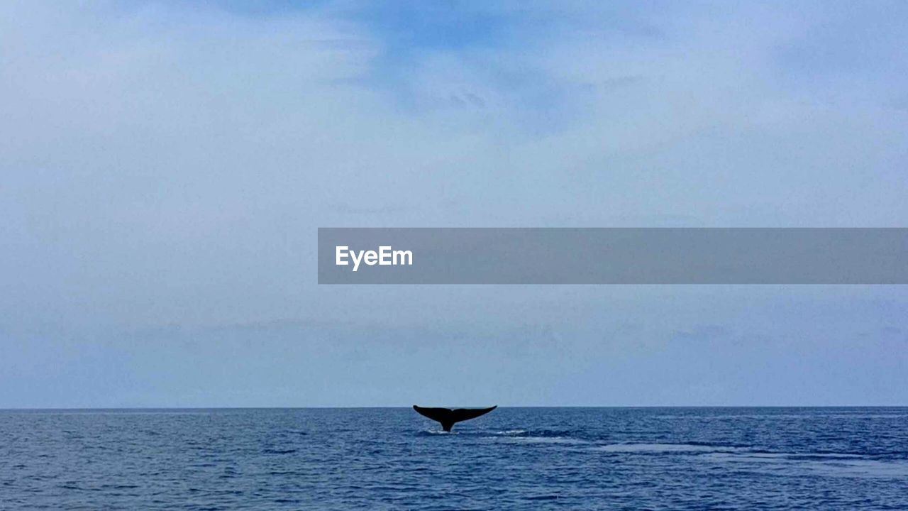 VIEW OF SEA AGAINST SKY