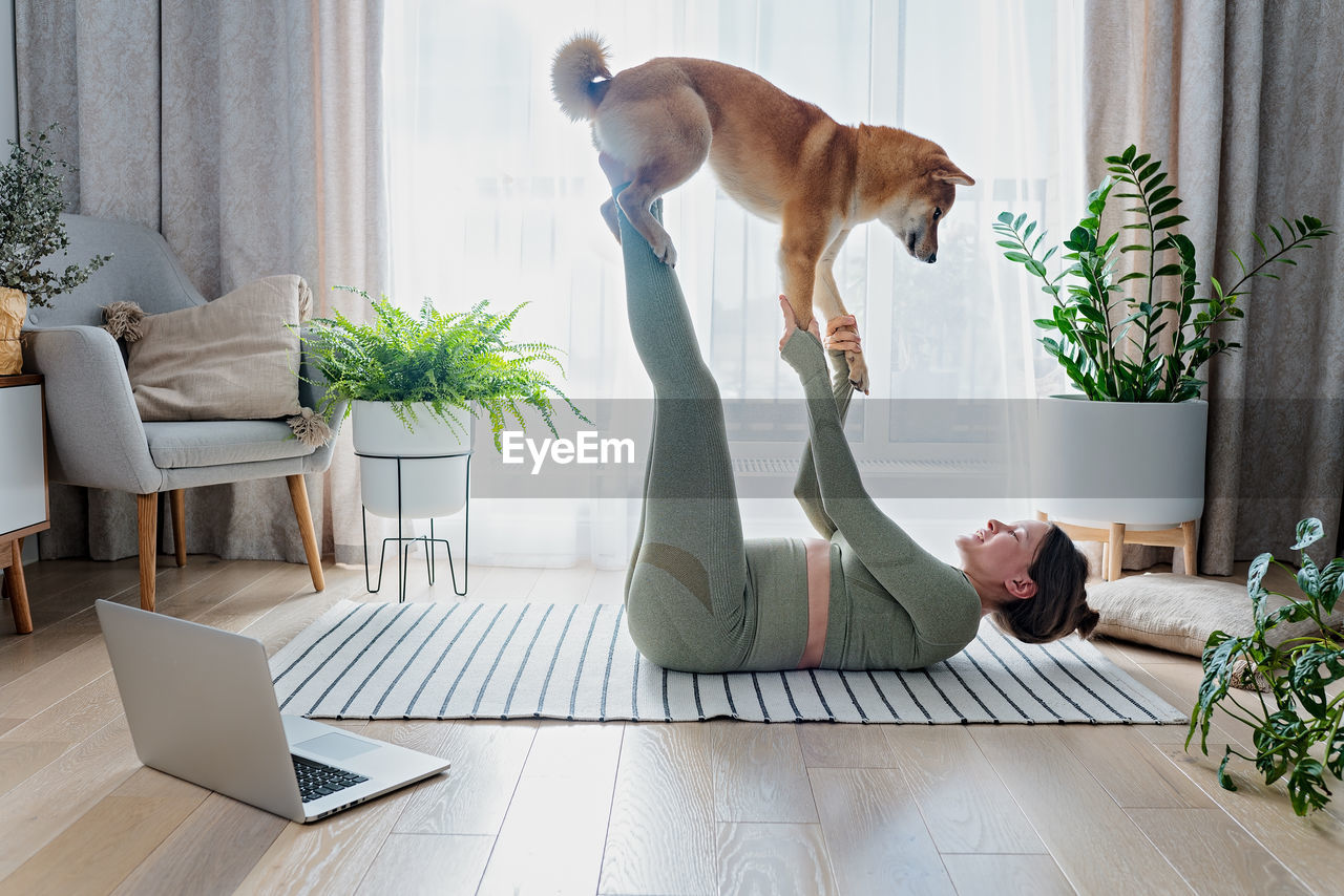 CAT LOOKING AWAY WHILE STANDING ON SOFA AT HOME