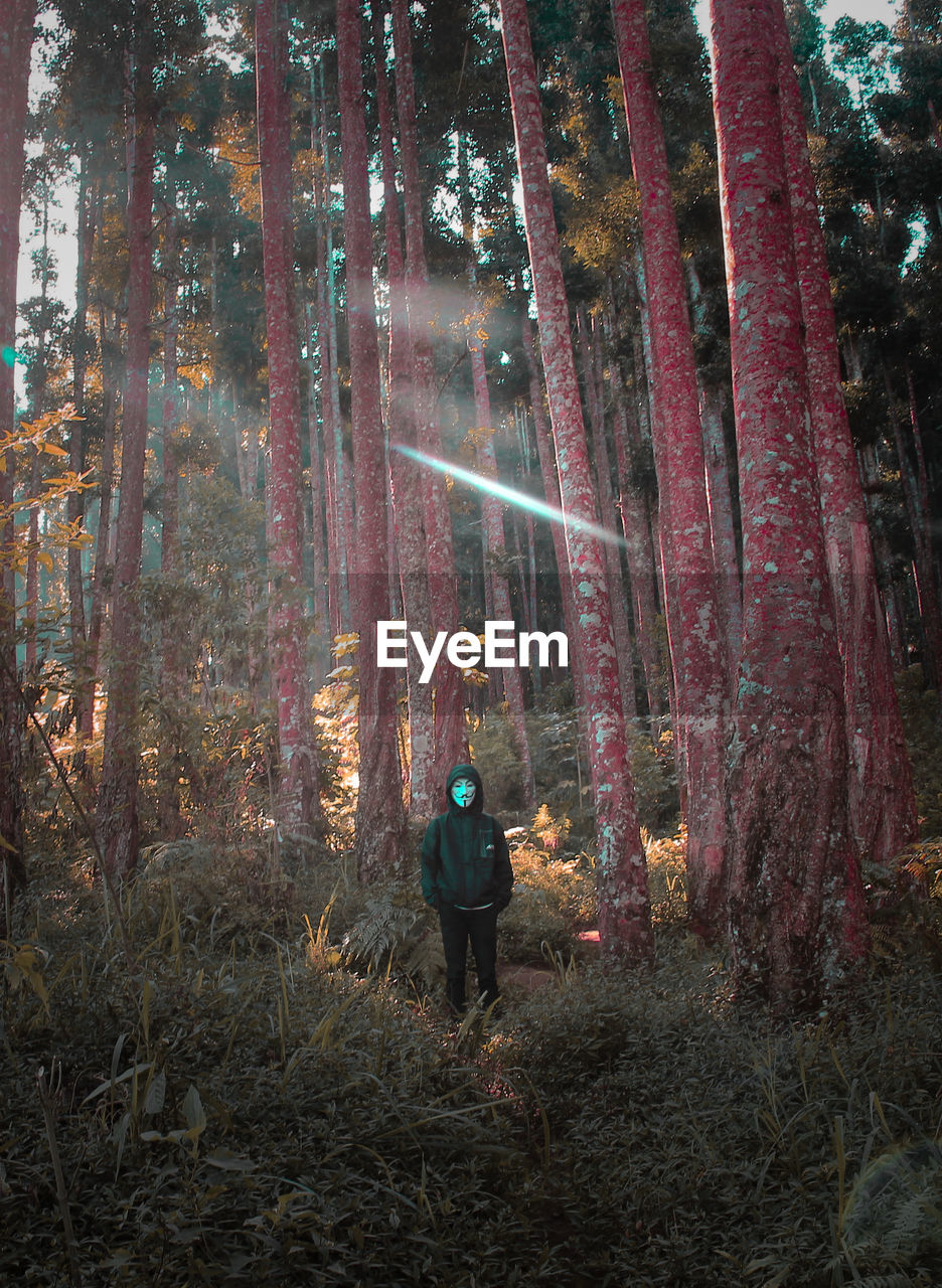 Person wearing mask while standing by trees in forest