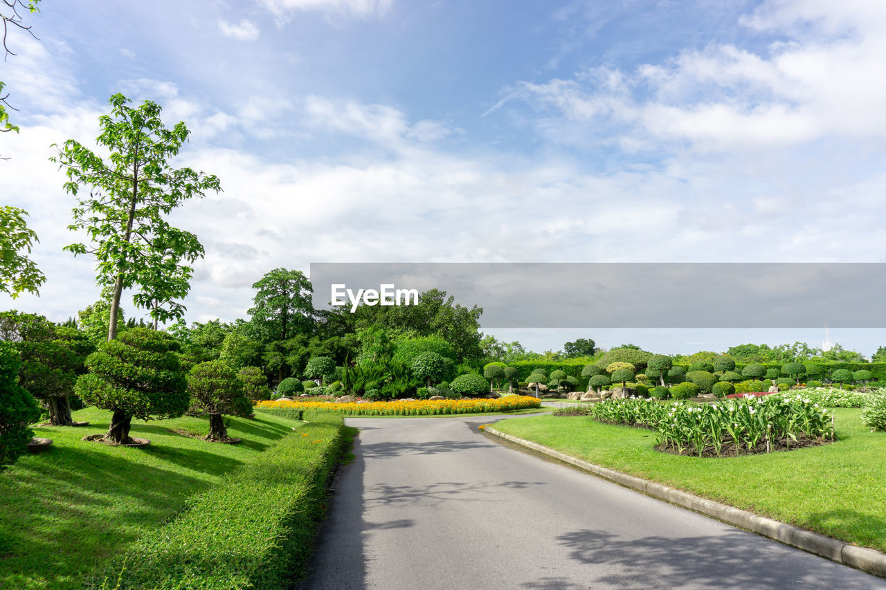 Topiary garden, asphalt road in gardens geometric bush and shrub flowering plant blooming