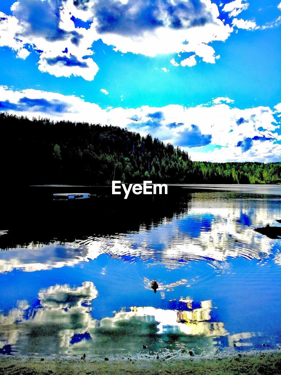 FLOCK OF BIRDS IN LAKE AGAINST SKY