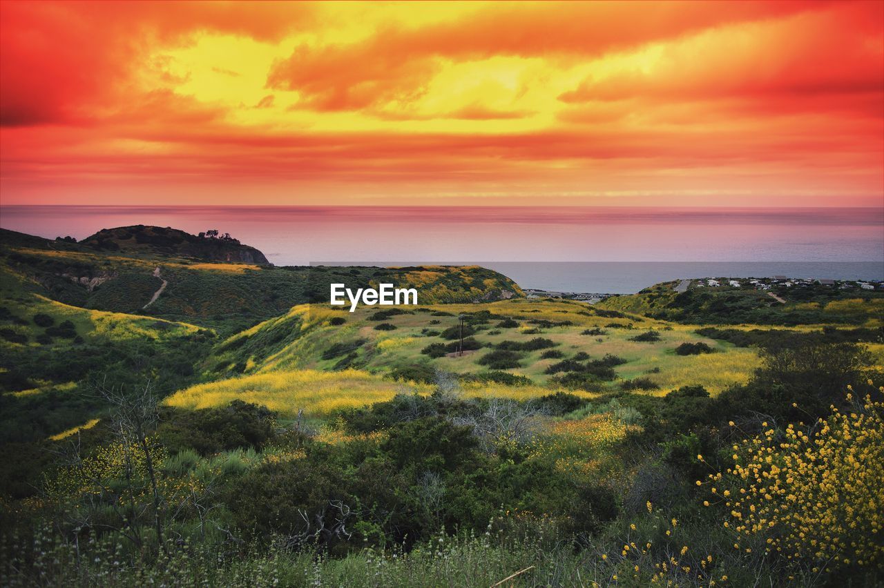 Scenic view of sea against sky during sunset