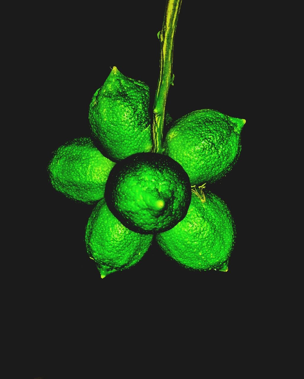 Composition of lemons on black background