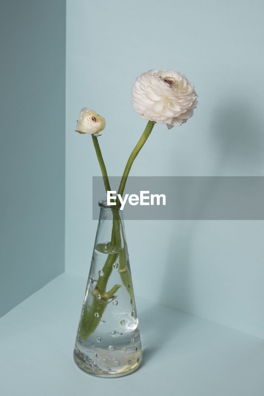 CLOSE-UP OF WHITE FLOWER VASE ON GLASS TABLE