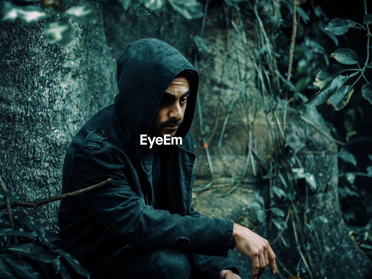 Man looking away while sitting in forest