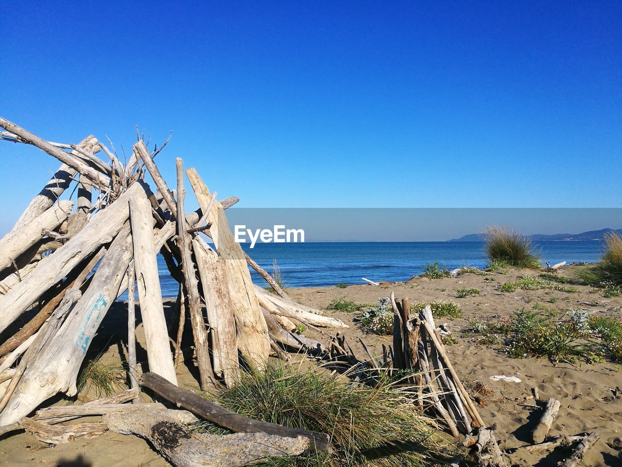 Driftwood on beach against clear blue sky