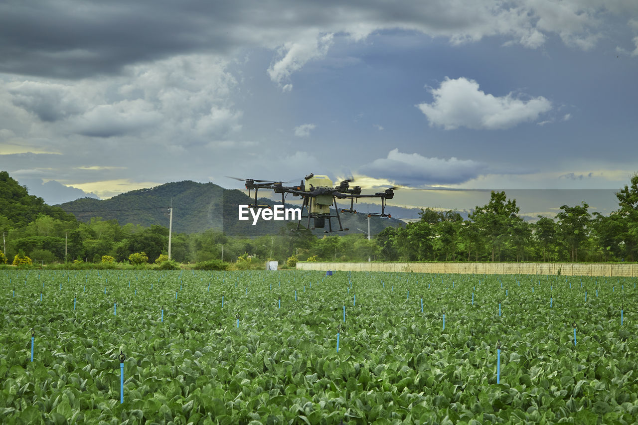 AGRICULTURAL FIELD AGAINST SKY