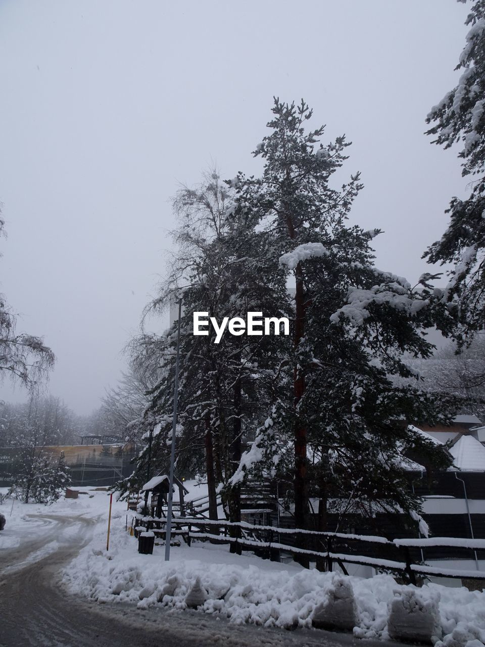 TREES ON SNOW AGAINST SKY