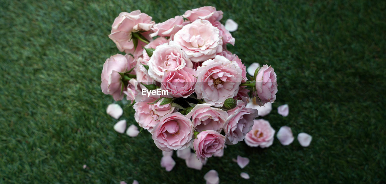 CLOSE-UP OF PINK ROSE BOUQUET ON GRASS