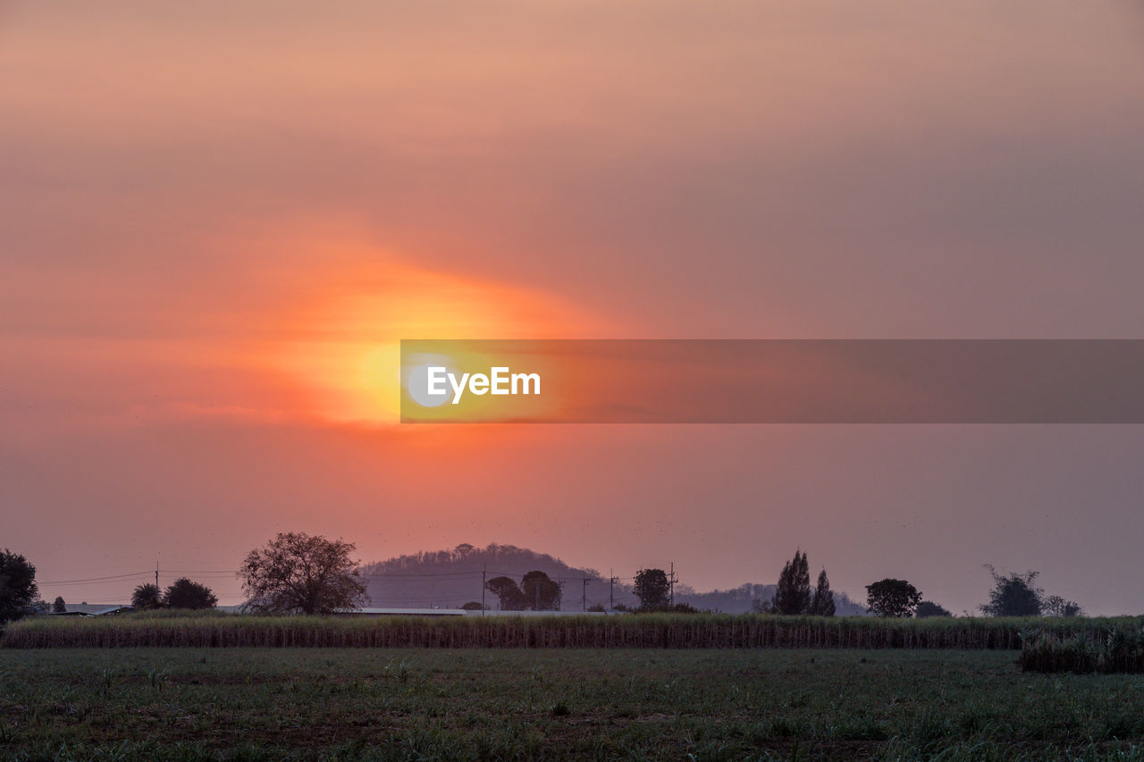 sky, landscape, sunset, environment, beauty in nature, field, plant, scenics - nature, land, horizon, sun, nature, agriculture, rural scene, tranquility, cloud, dawn, tree, orange color, tranquil scene, sunlight, dramatic sky, no people, crop, idyllic, evening, farm, twilight, grass, atmospheric mood, outdoors, plain, multi colored, social issues, non-urban scene, summer, moody sky, romantic sky, red, food, travel, fog, sunbeam, architecture, cloudscape, travel destinations, afterglow, freshness, meadow, yellow, food and drink, growth, copy space, environmental conservation, urban skyline, silhouette, purple, gold, horizon over land, religion, cereal plant