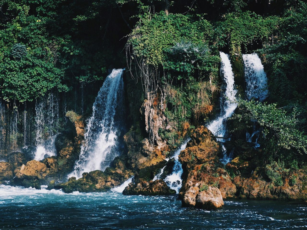 View of waterfall in forest