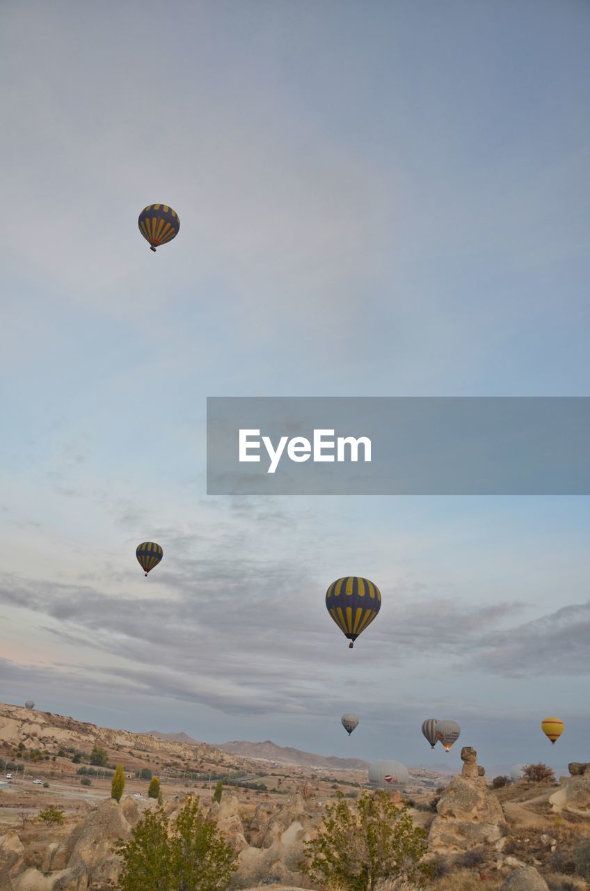 Hot air balloons flying in sky