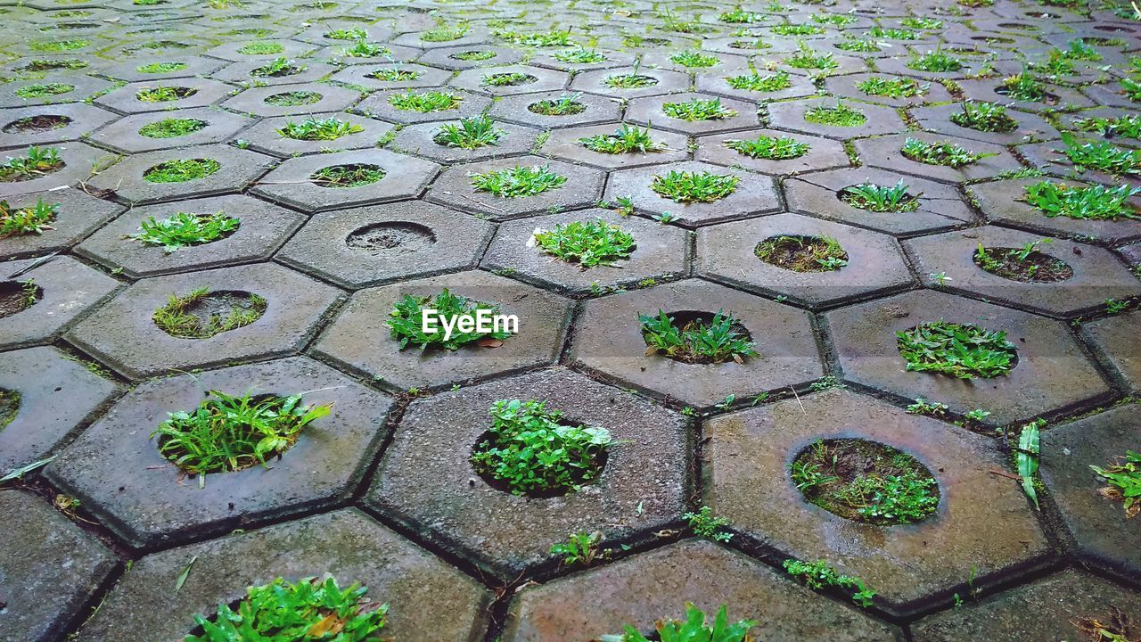 High angle view of footpath