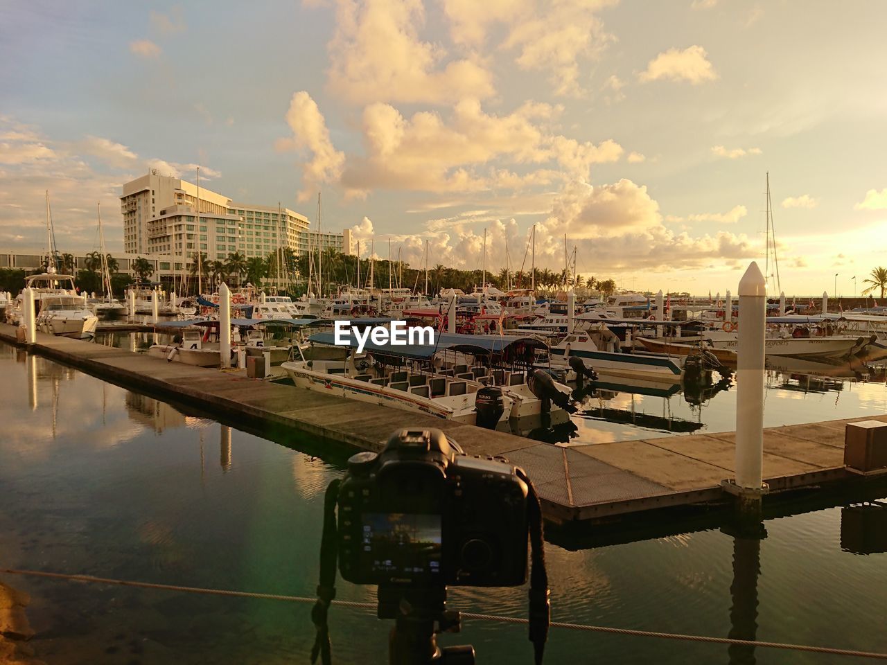 Boats moored at harbor against sky in city