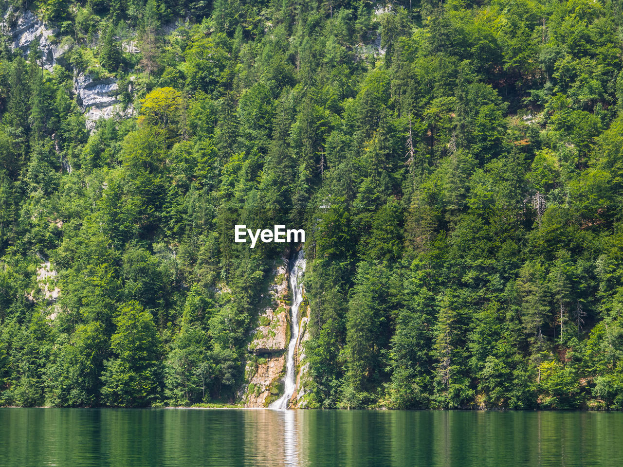 Scenic view of water fall