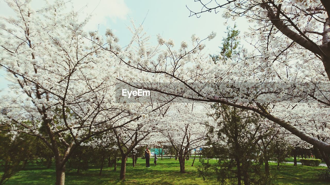 Scenic view of grassy field against cloudy sky