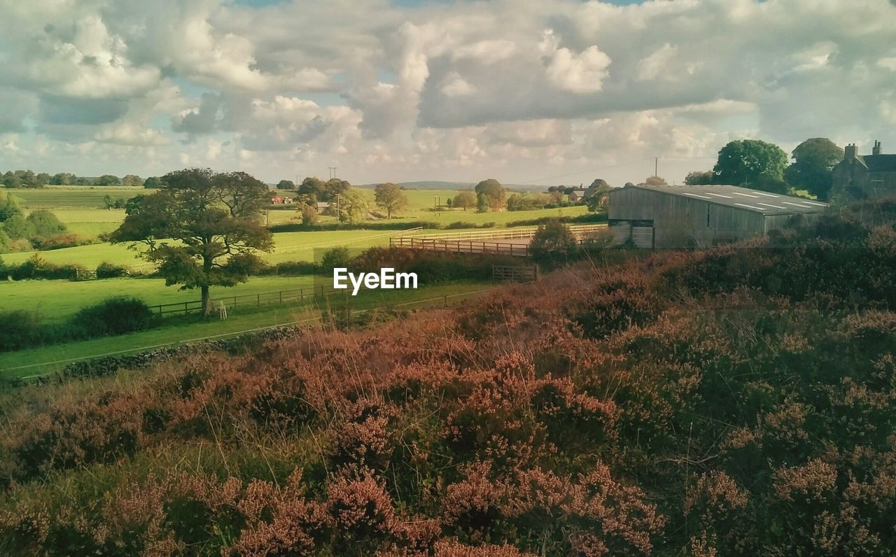 Scenic view of landscape against cloudy sky