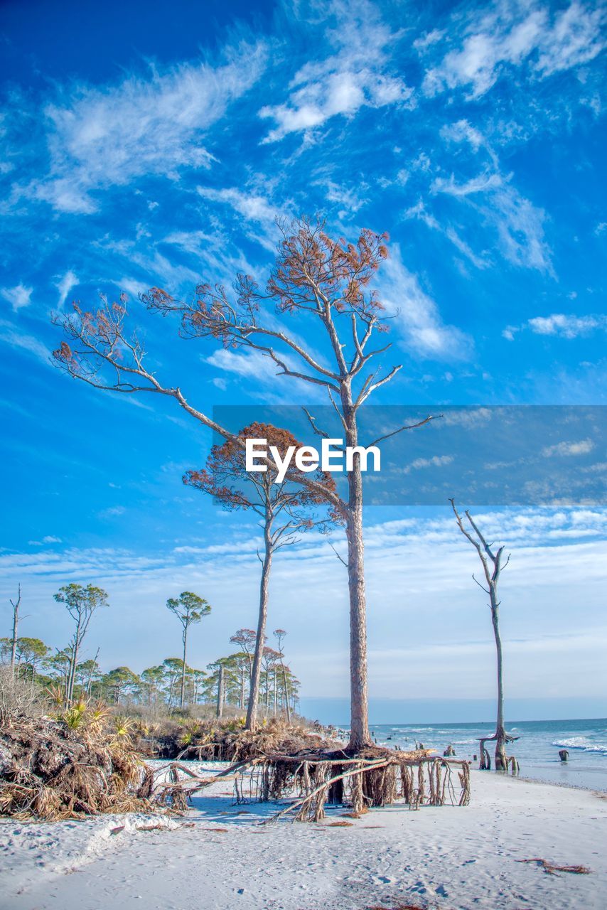 Scenic view of sea against blue sky