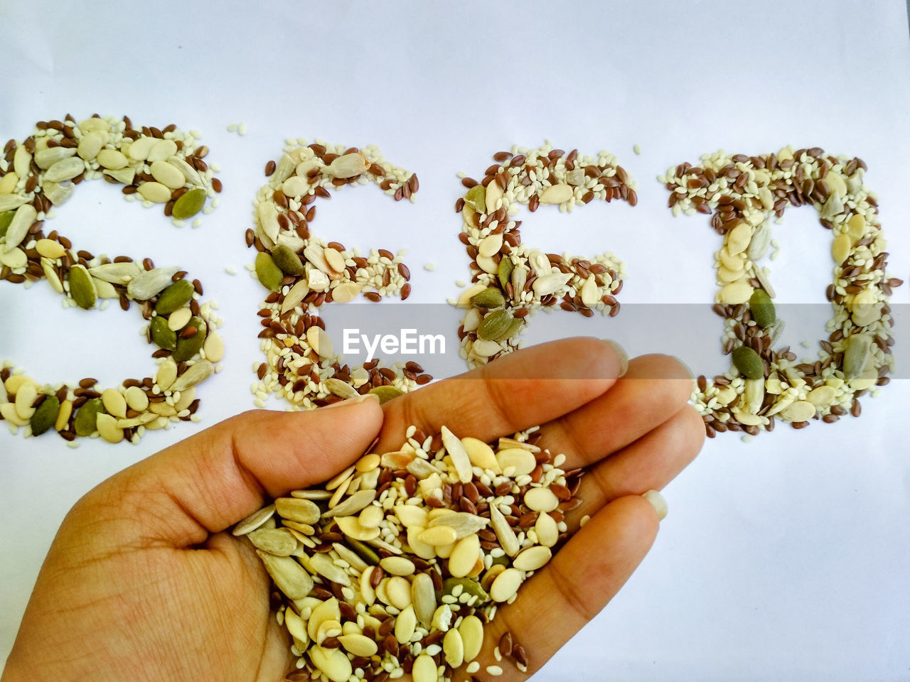 Hand holding mixed seeds