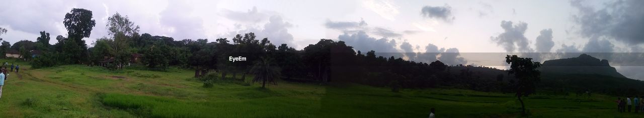 PANORAMIC SHOT OF LANDSCAPE AGAINST SKY