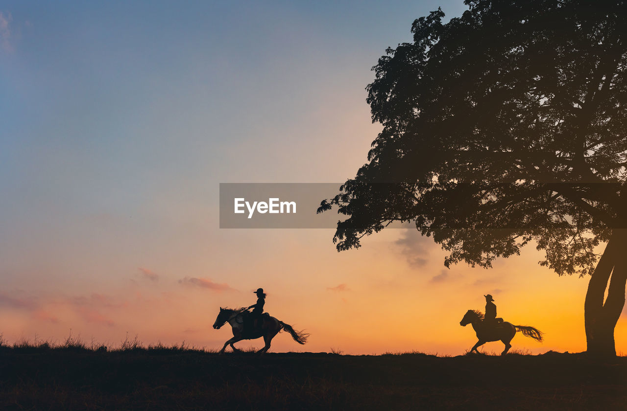 Cowboy on horse silhouetted against a large tree