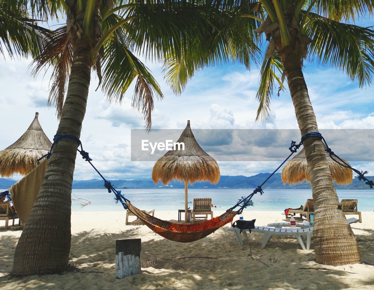 Panoramic shot of palm trees on beach against sky