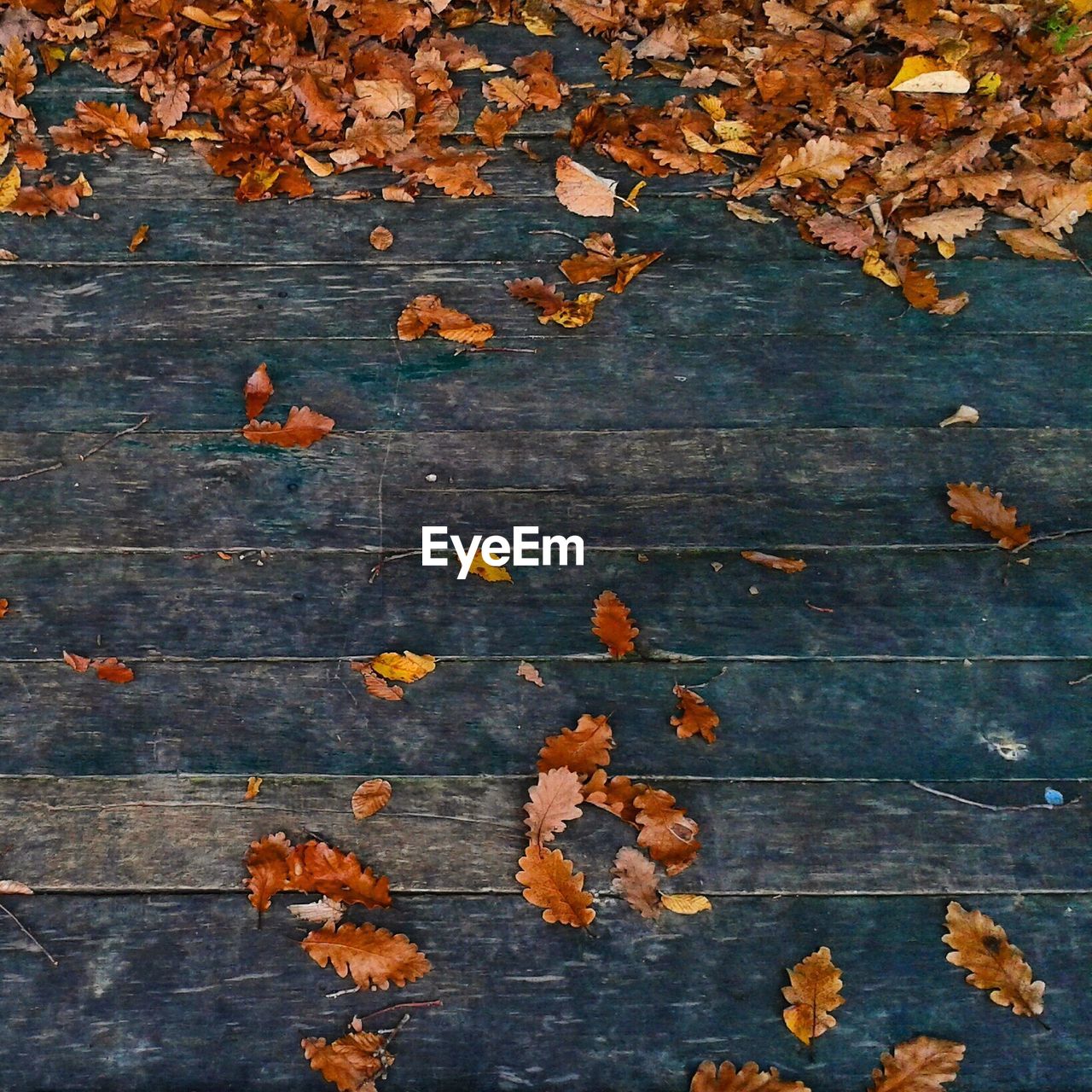 HIGH ANGLE VIEW OF DRY LEAVES ON WOODEN SURFACE