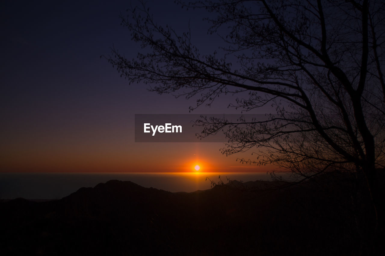 SILHOUETTE OF TREES AT SUNSET