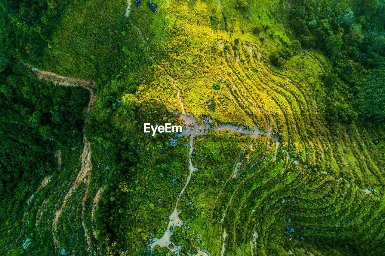 Aerial view of green mountain