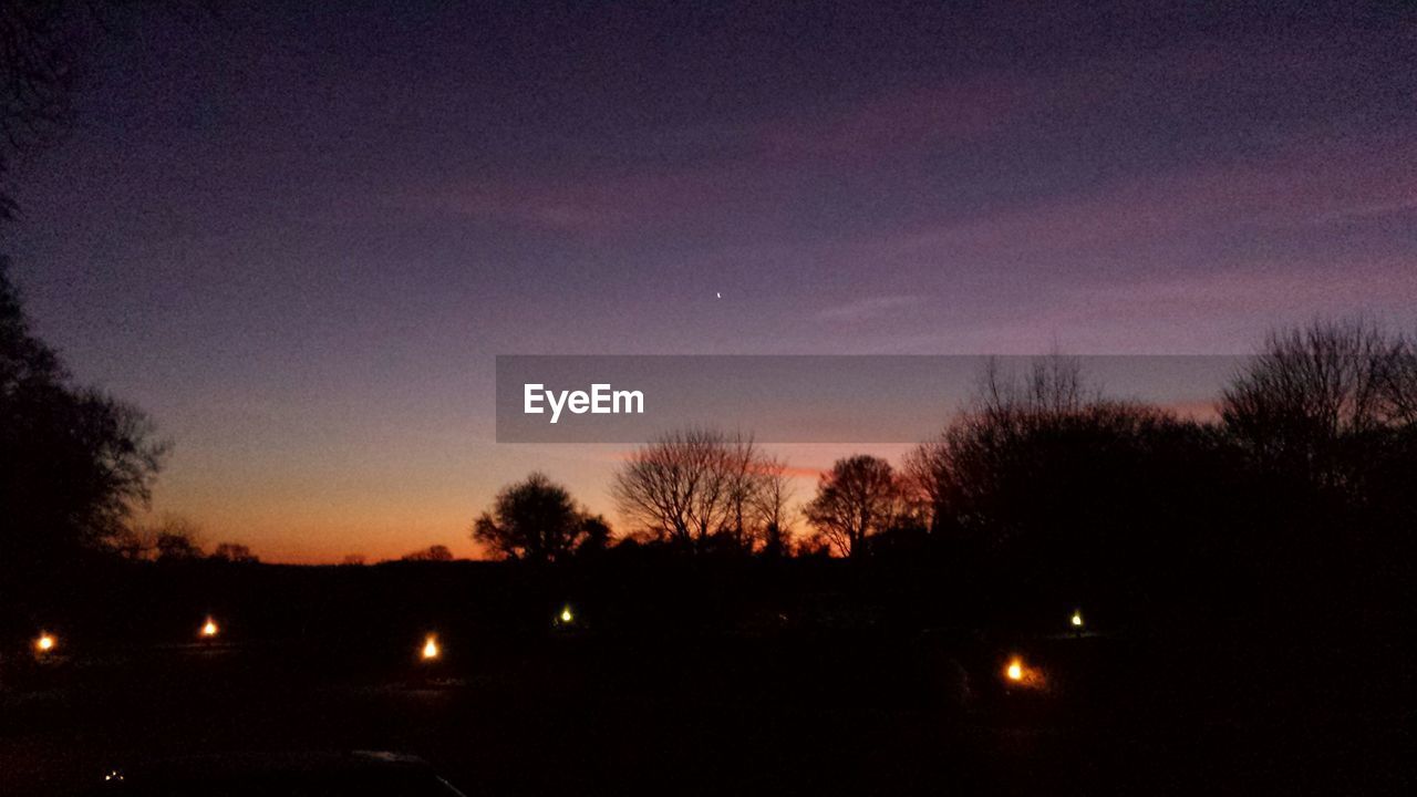 SILHOUETTE OF TREES AT DUSK