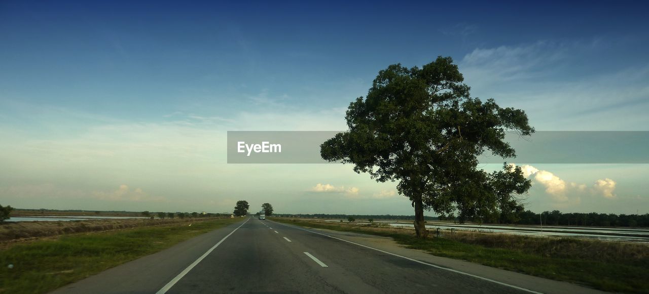 ROAD BY TREE AGAINST SKY