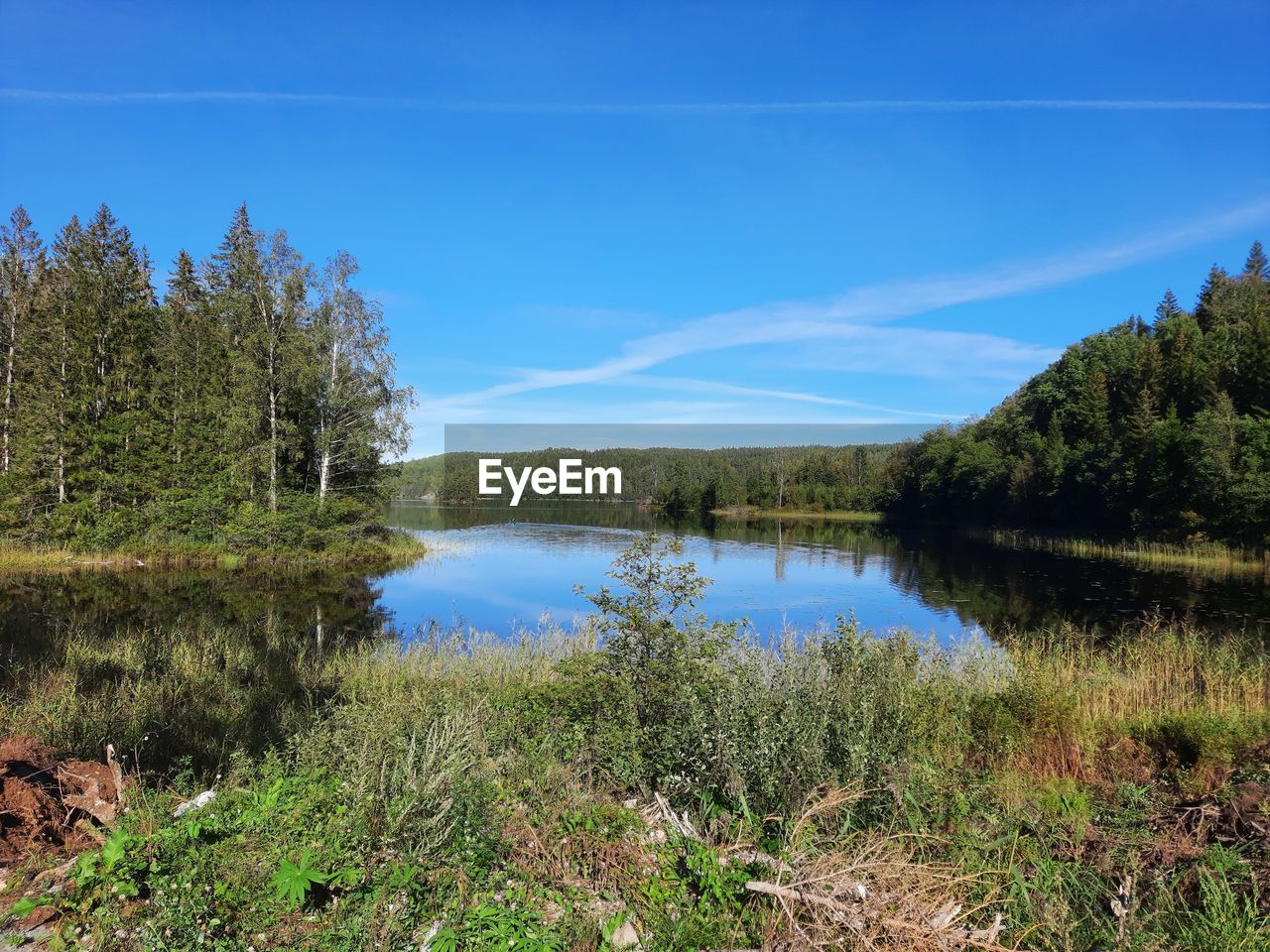 SCENIC VIEW OF LAKE BY TREES AGAINST SKY