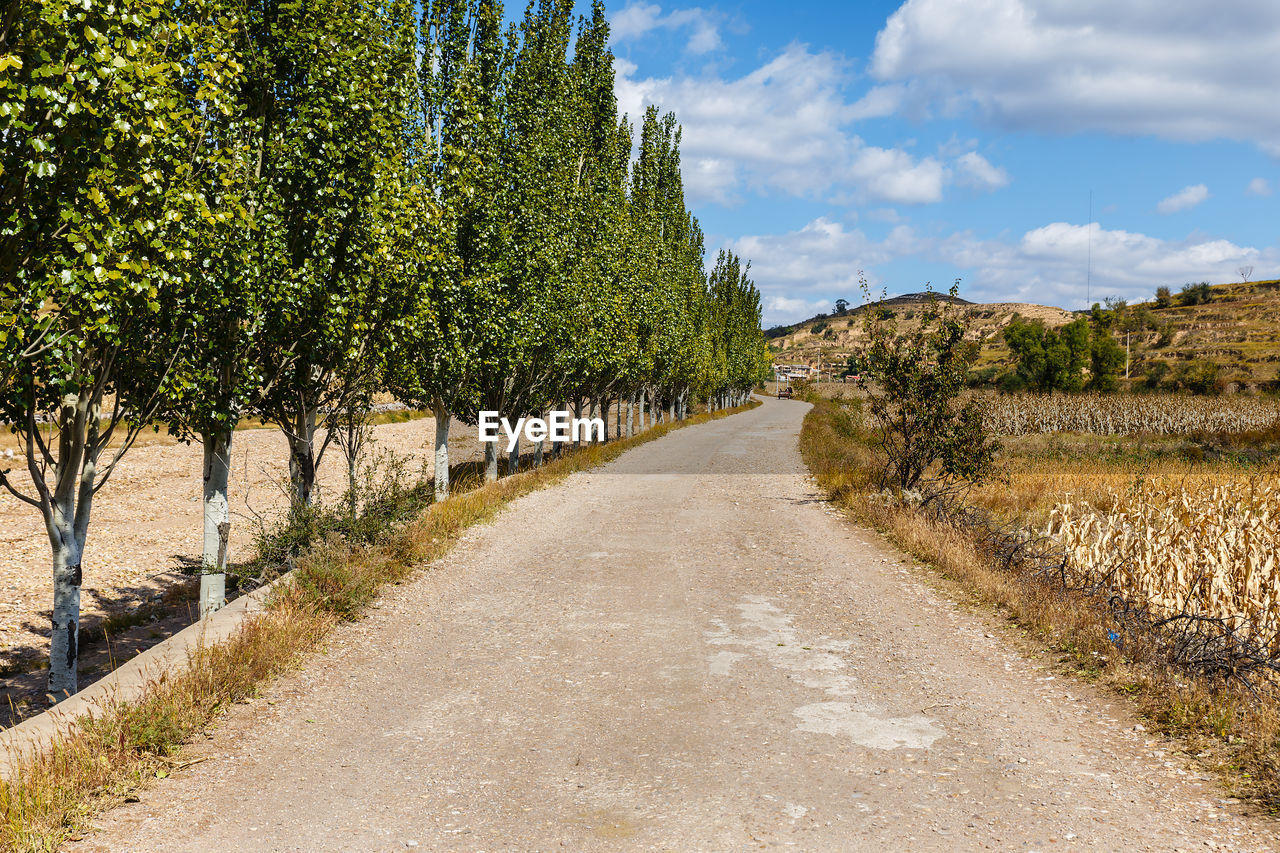 ROAD BY TREES AGAINST SKY