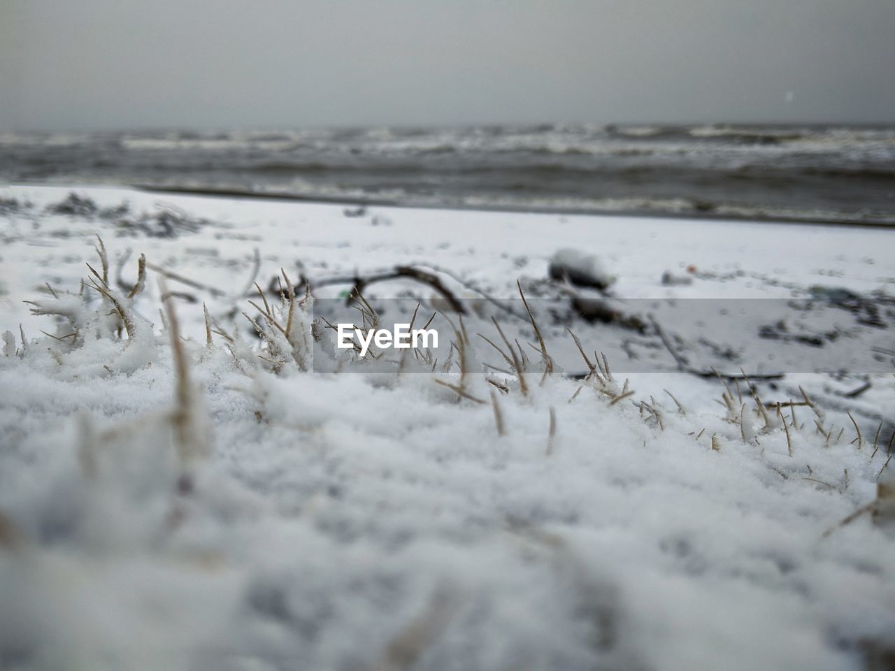 Close-up of snow covered land