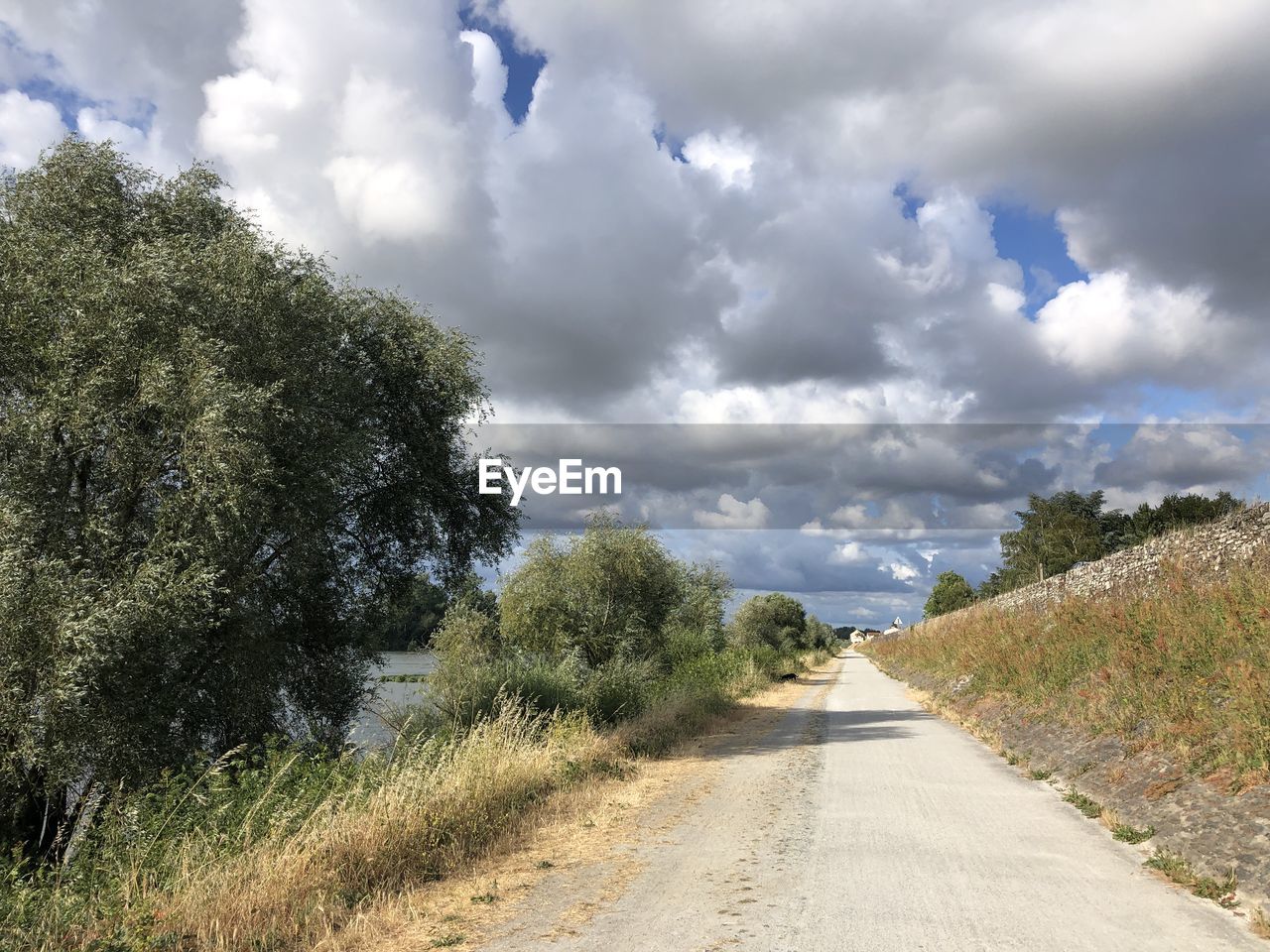 EMPTY ROAD ALONG TREES AND PLANTS